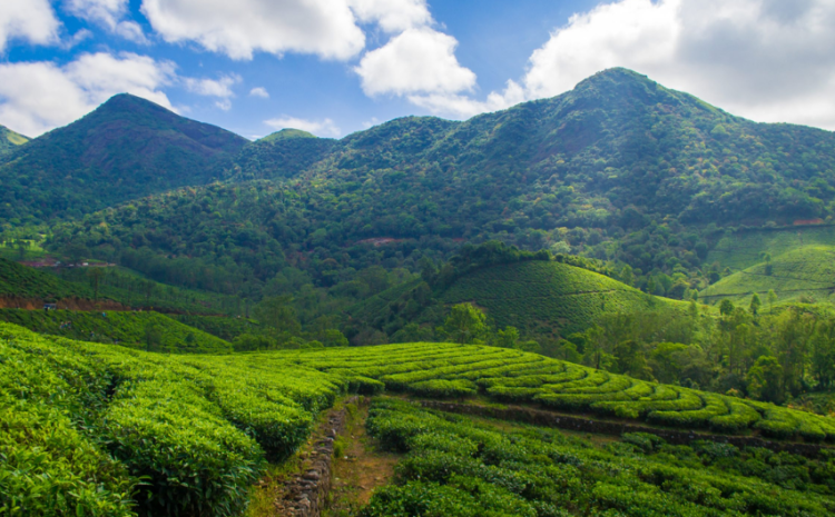  Vagamon