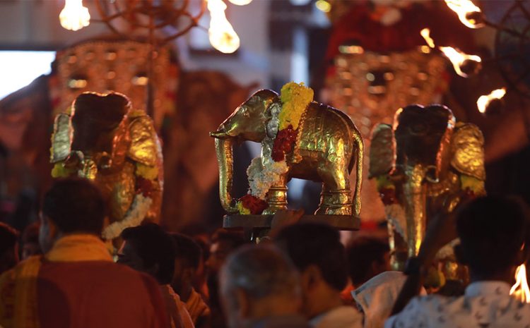 ഏറ്റുമാനൂരിൽ ഇനി ഉത്സവക്കാലം, 11ന് കൊടിയേറും;